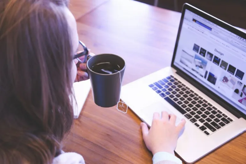 Web Sitesi Türleri